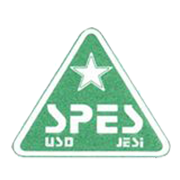 Emblema Junior Jesina
