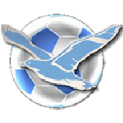 Emblema Falco Acqualagna