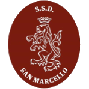 Emblema Torre San Marco