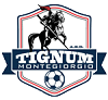 Emblema Tignum Montegiorgio