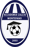 Emblema Accademia calcio